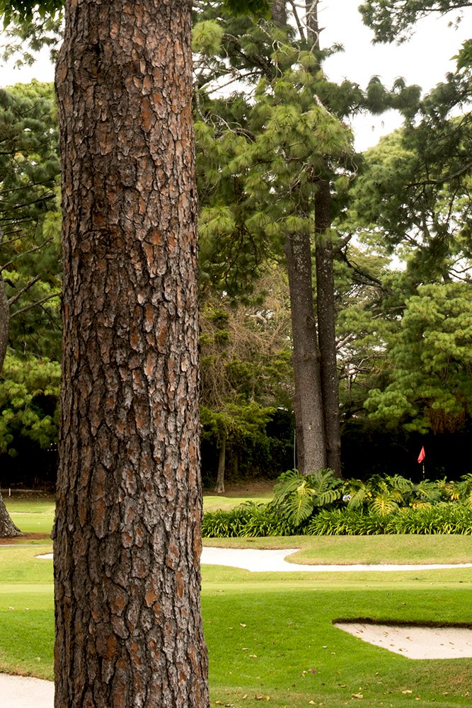 trip18-golf-with-purpose5